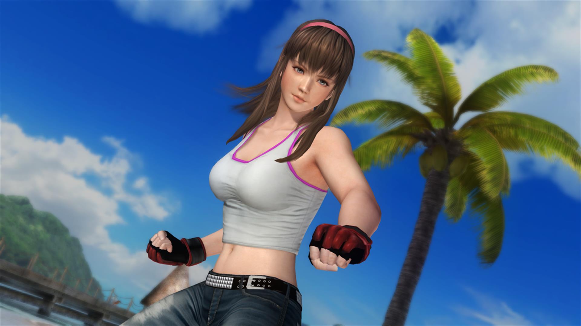 DOA5Hitomi.jpg