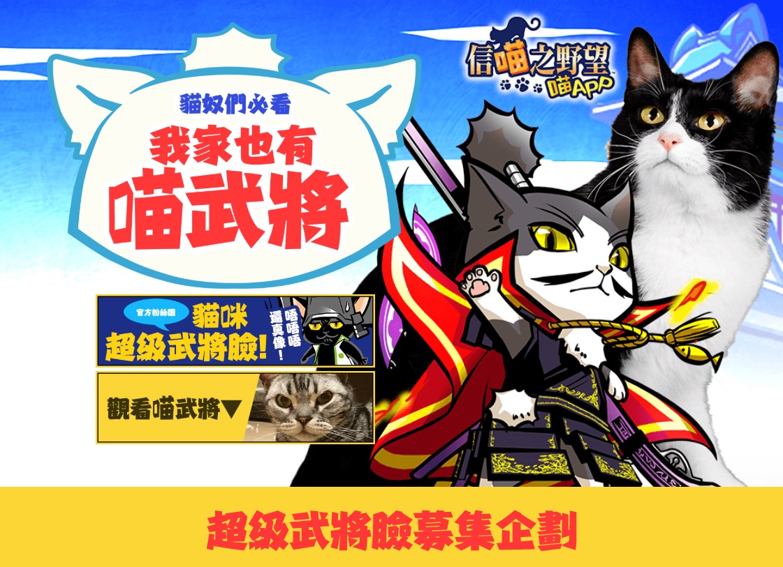 我家也有喵武將.jpg