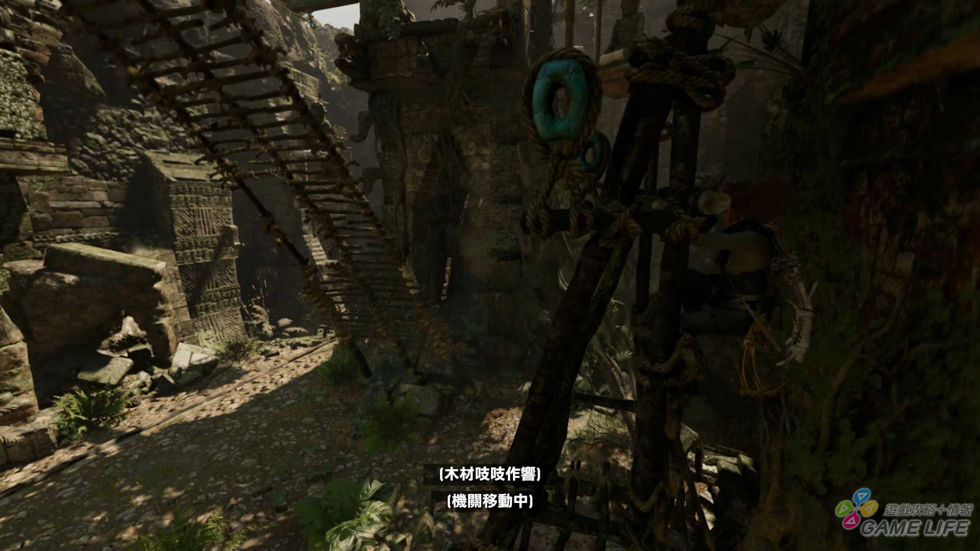 B.jpg