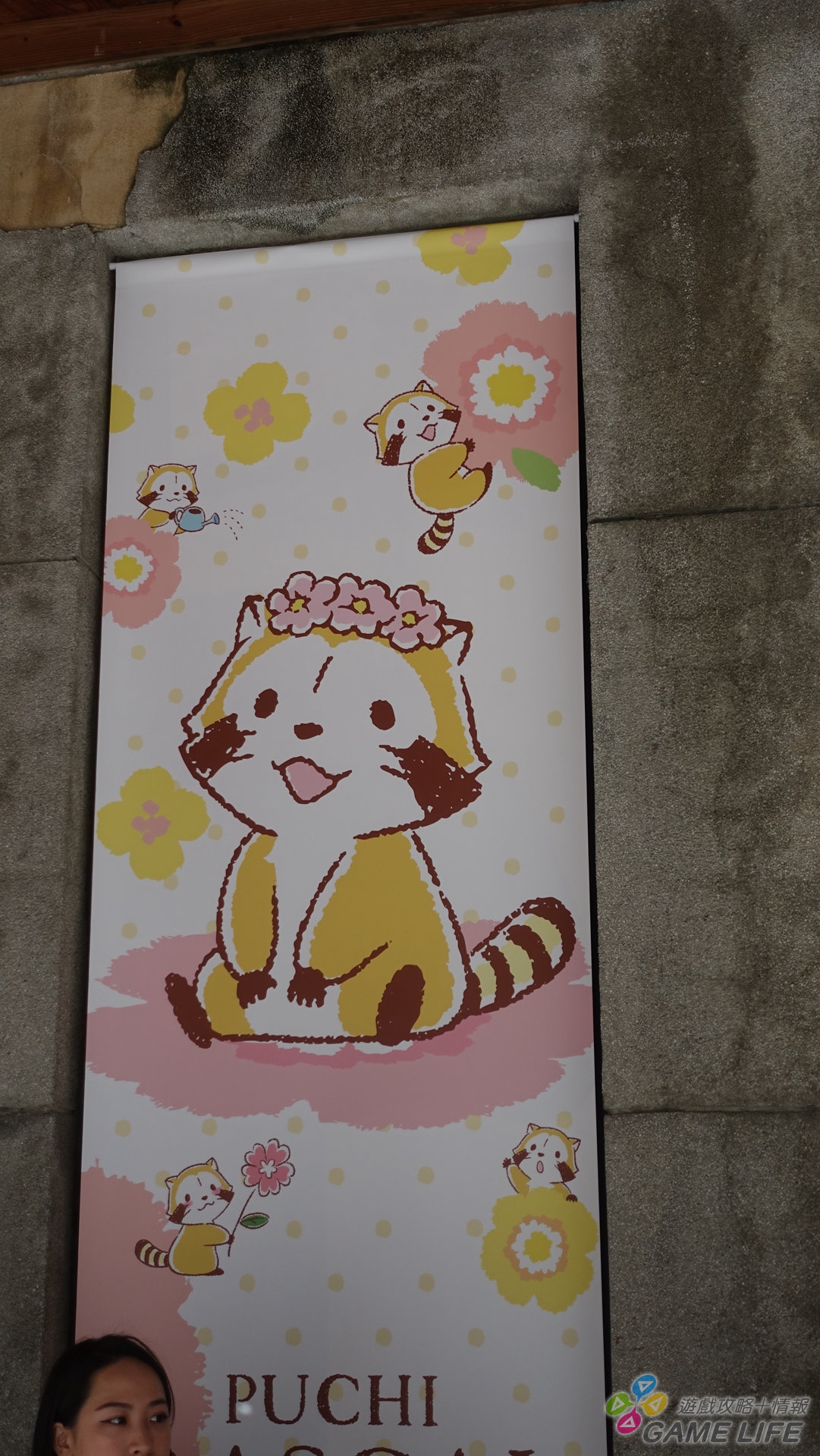 DSC04020.jpg