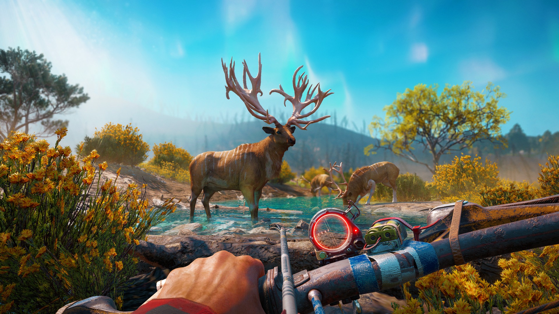 ElkHunt_3840x2160_GOLD_1549993374.jpg