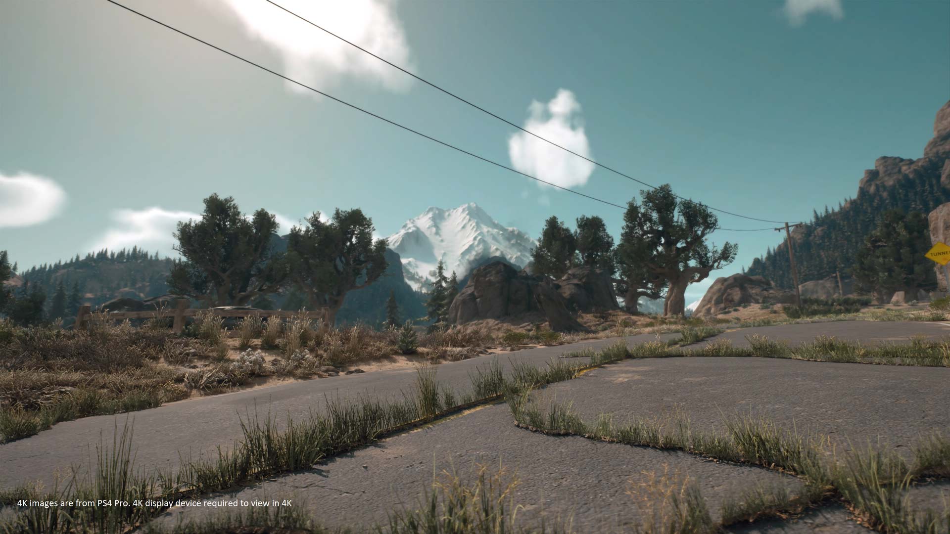 DG_WT_Screens-(13).jpg