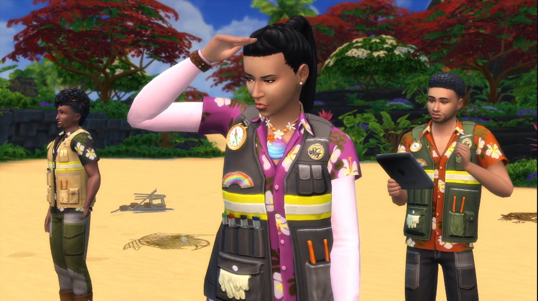 sim eco.jpg