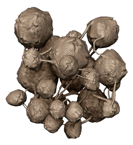 10.png