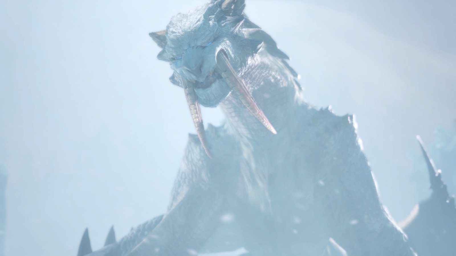 mh 5.jpg