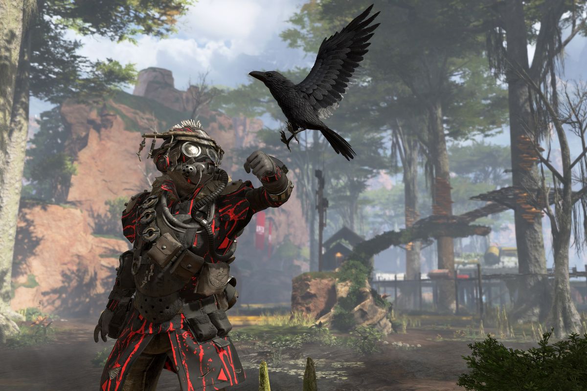 apex solo.jpg