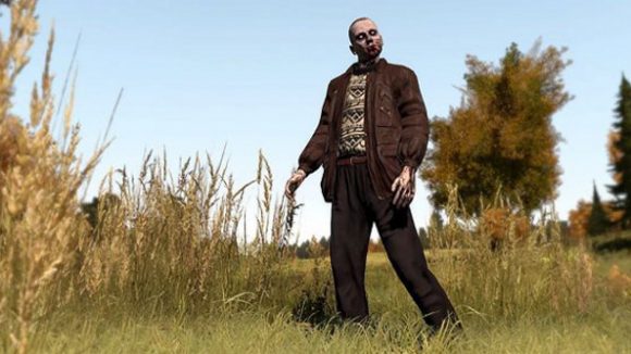 dayz 1.jpg