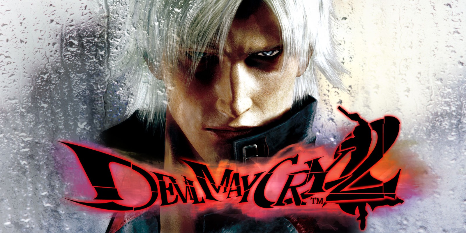 dmc 2.jpg