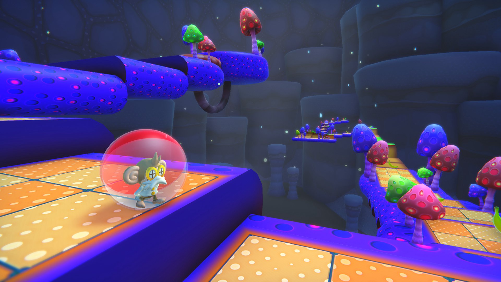 (11).jpg