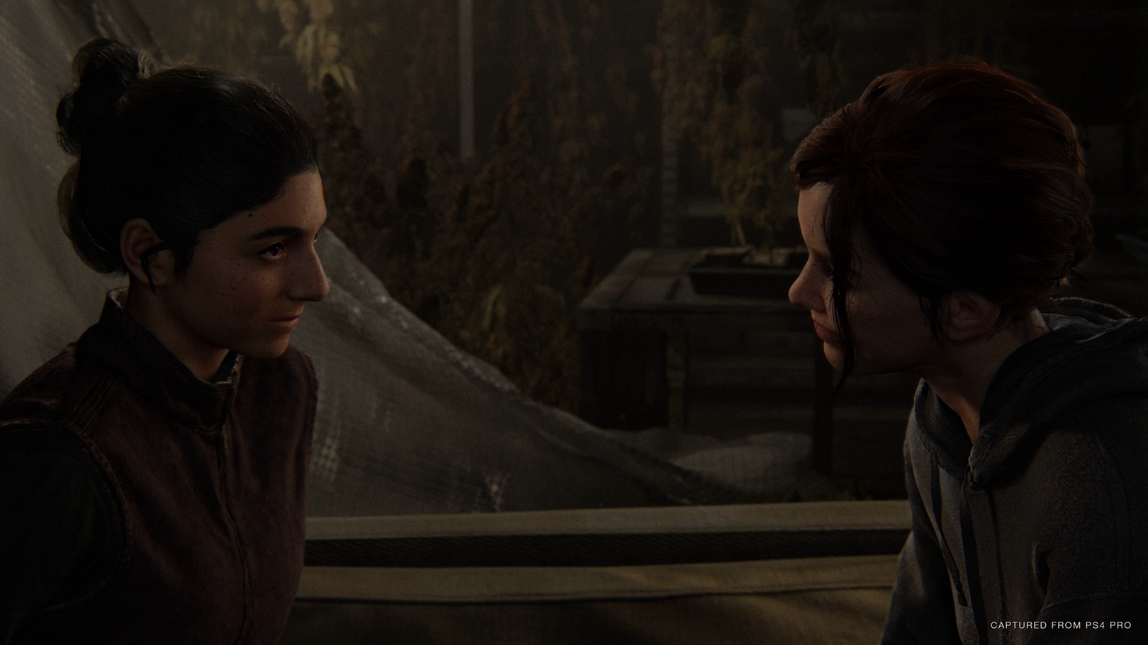 TLOU 2 12.jpg