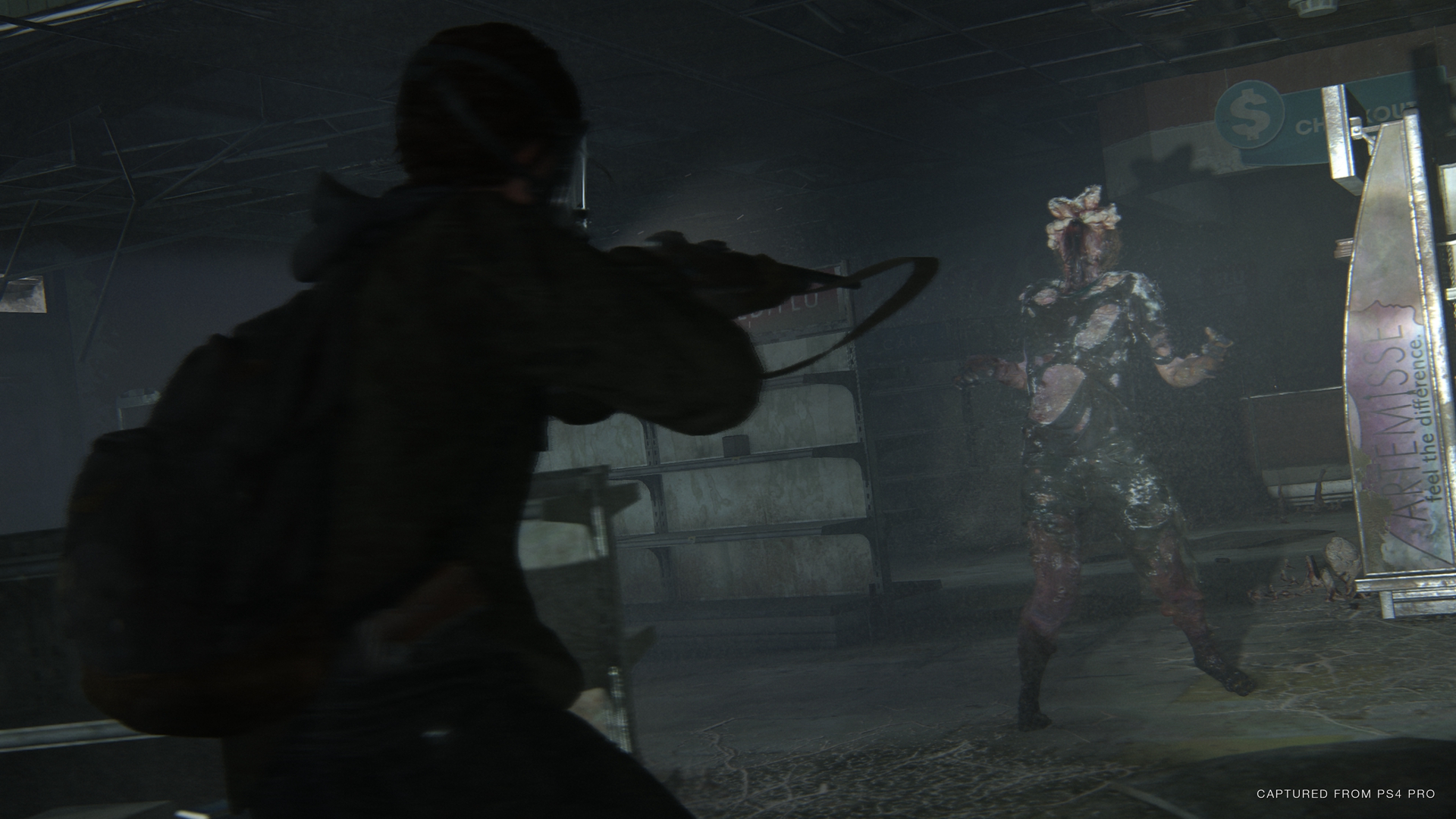 TLOU 2 15.jpg