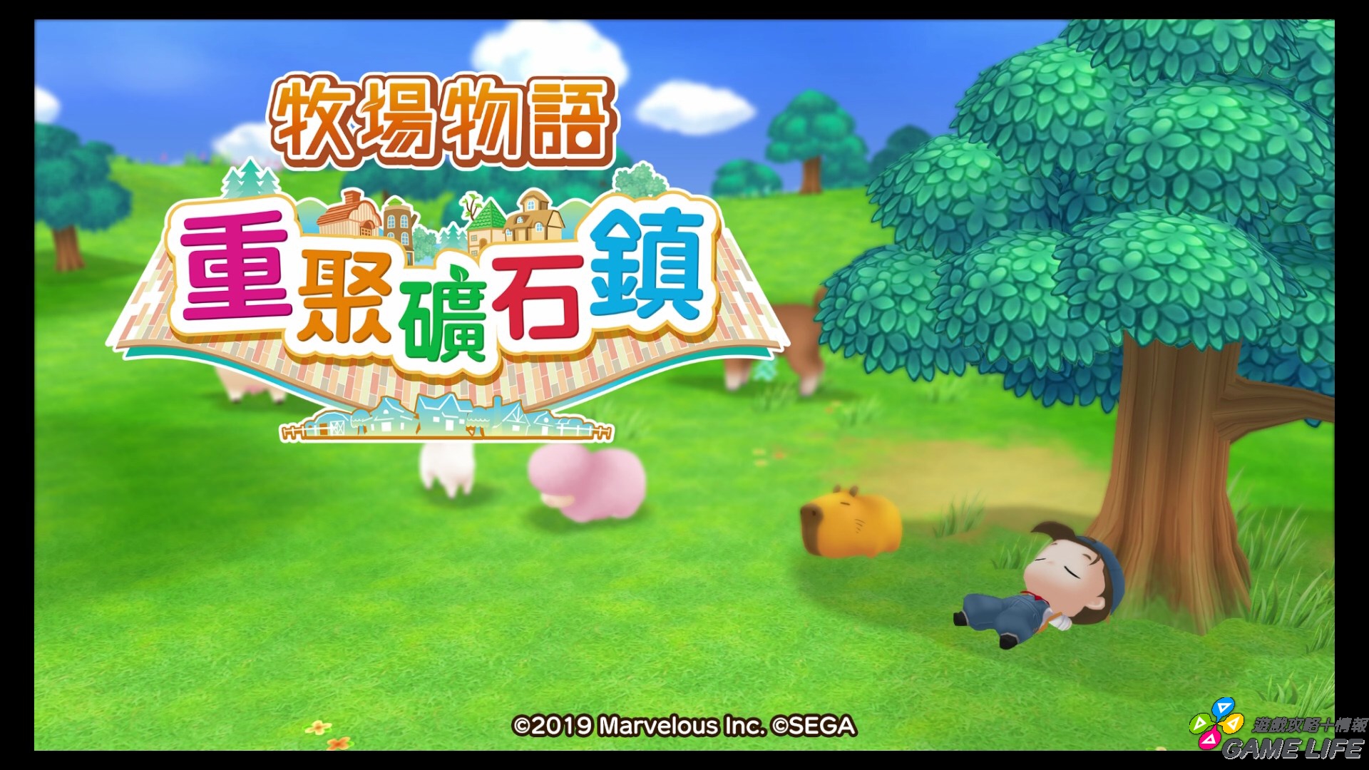 20191023135407.mp4_snapshot_00.32.jpg