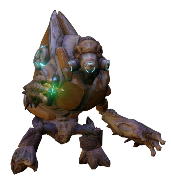 13.png