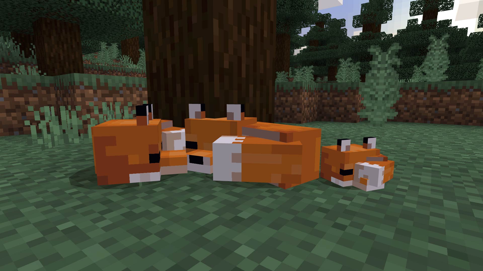 4_Minecraft.jpg