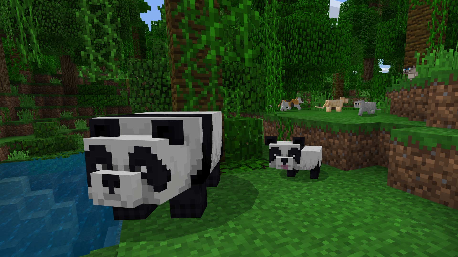 2_Minecraft.jpg