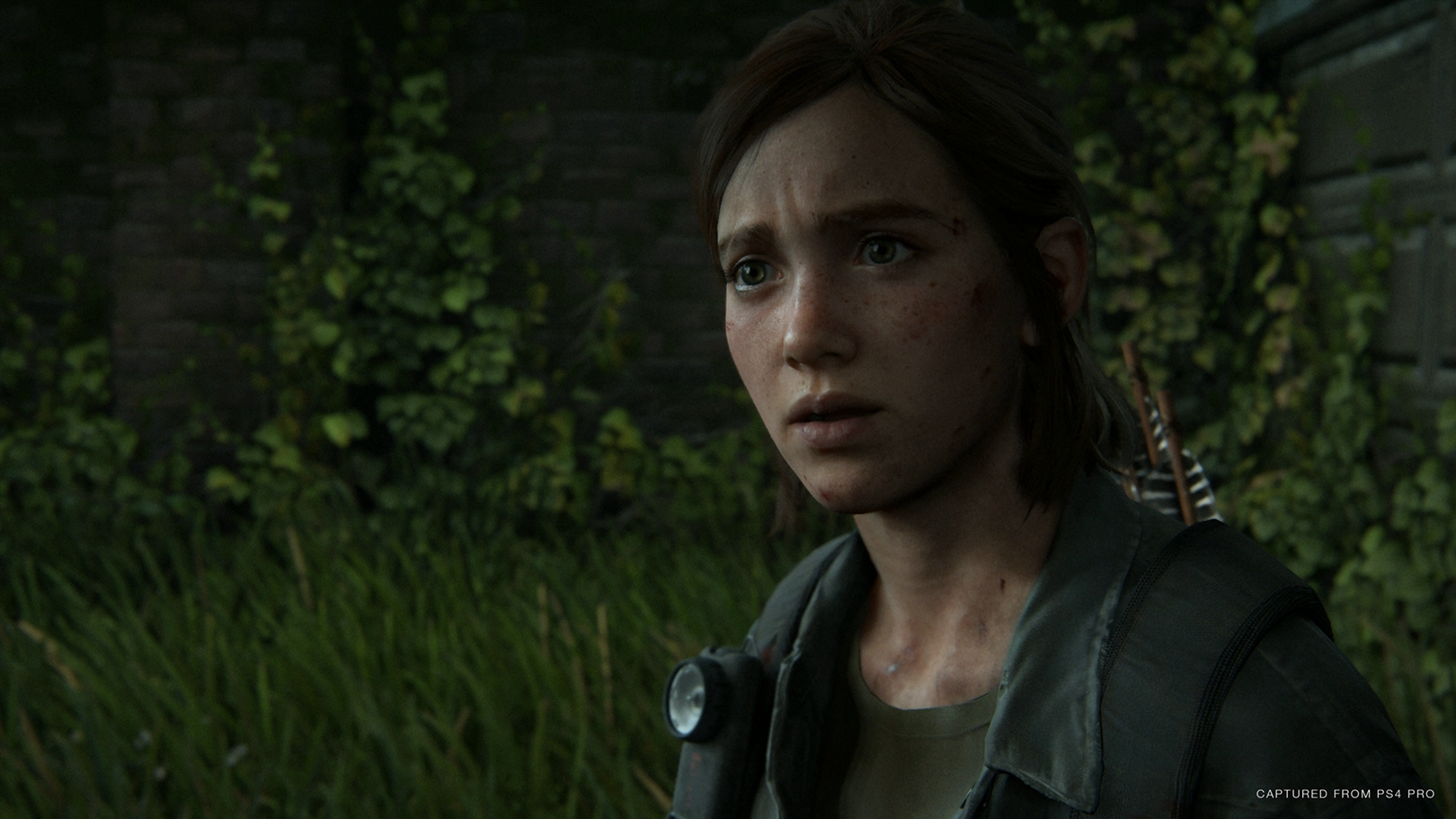 TLOU 2 13.jpg