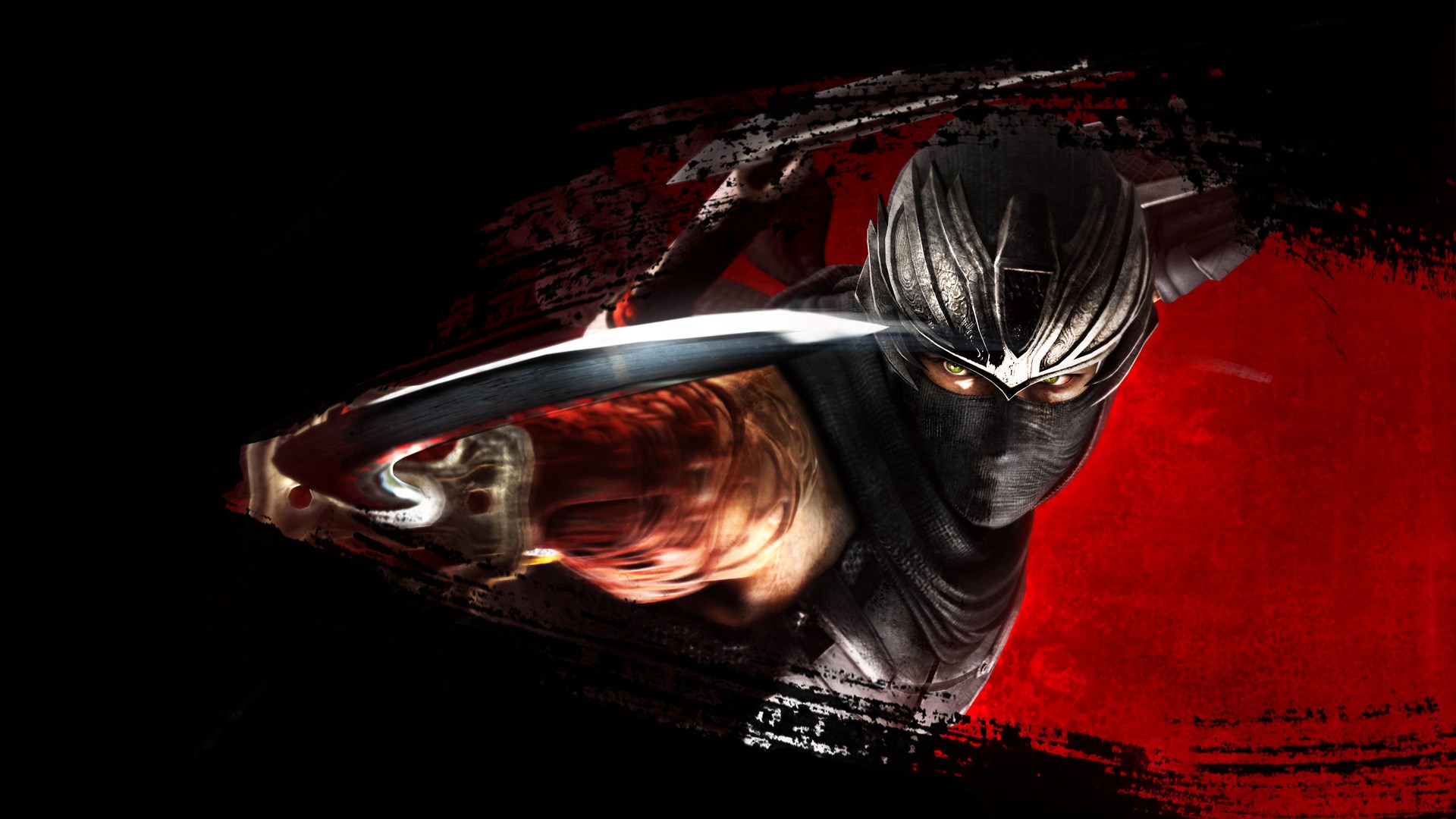 ninja gaiden.jpg
