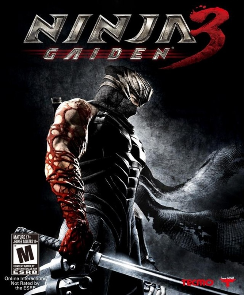 ninja gaiden 1.png