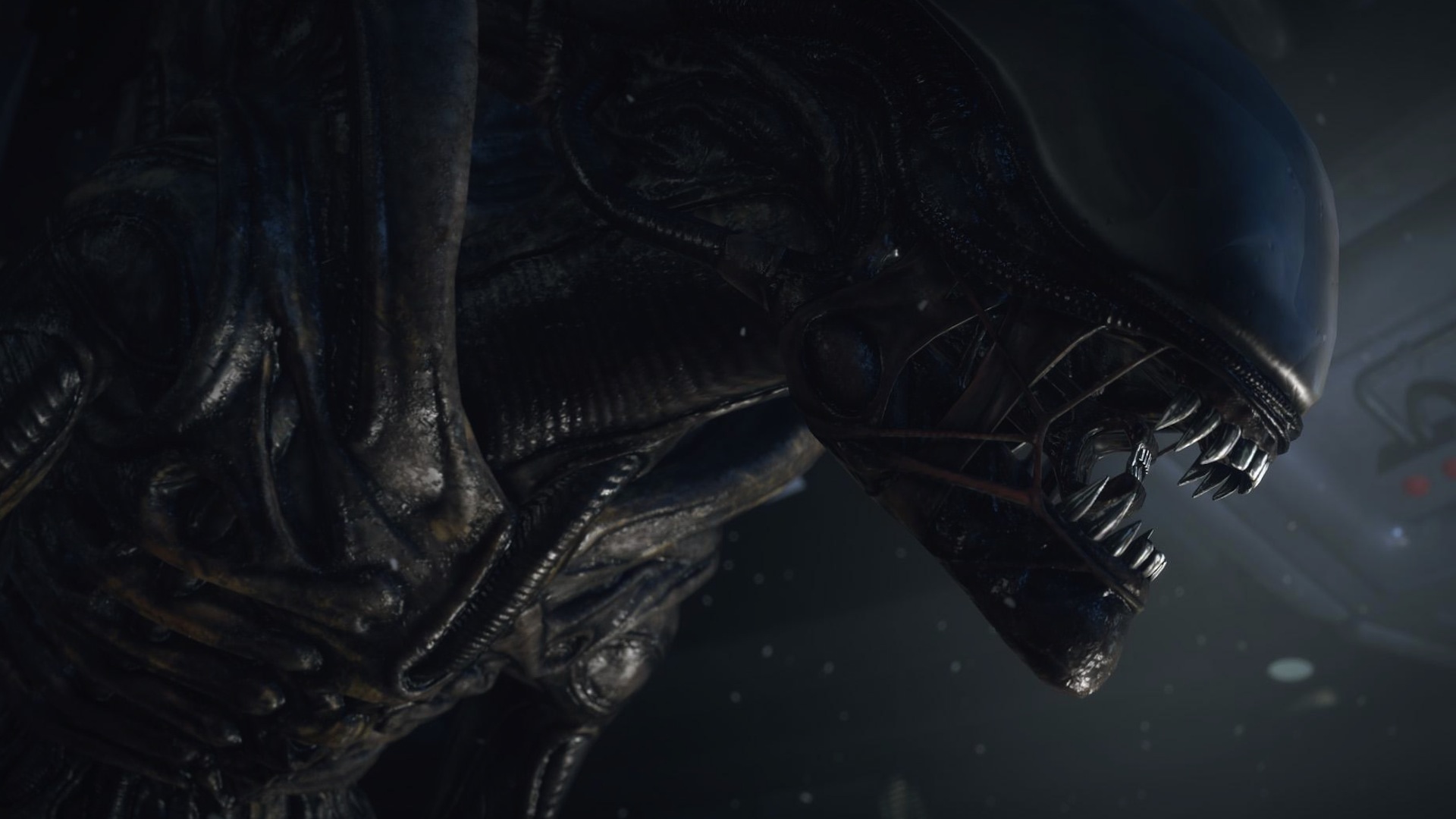 alien.jpg
