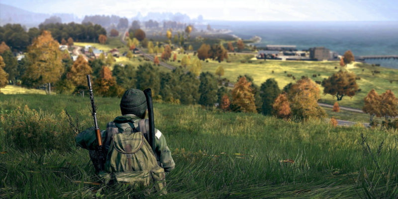 dayz 2.jpg