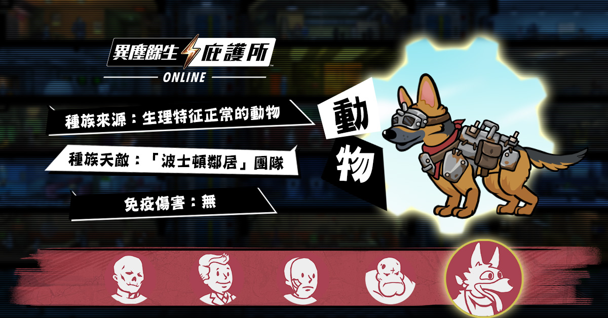 動物.jpg