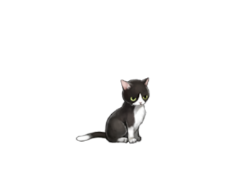 sippo.png