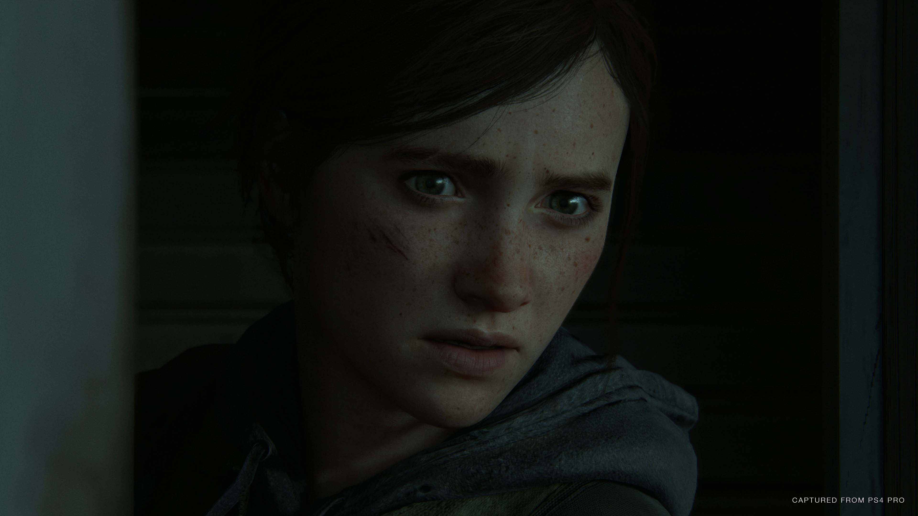 TLOUPII_SOP_SCREEN_02.jpg